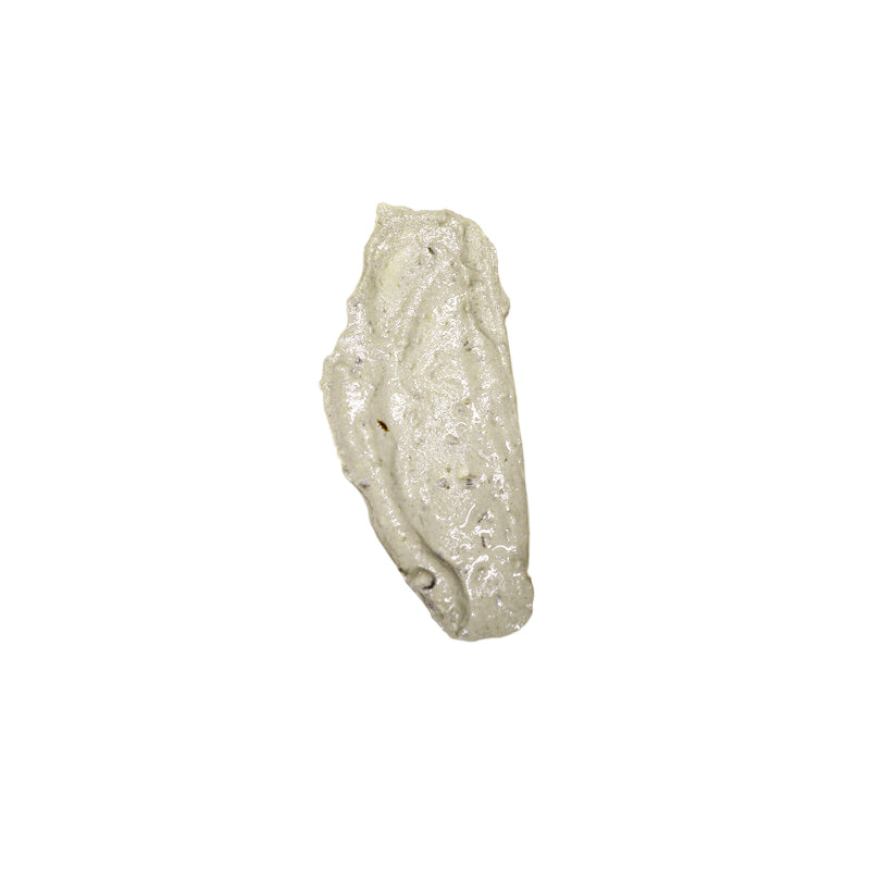 Seaweed Bio-Exfoliant-Travel