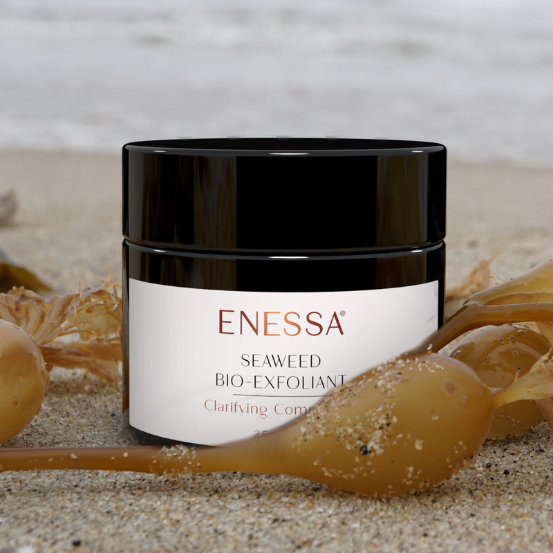 Seaweed Bio-Exfoliant - Enessa Organic Skin Care